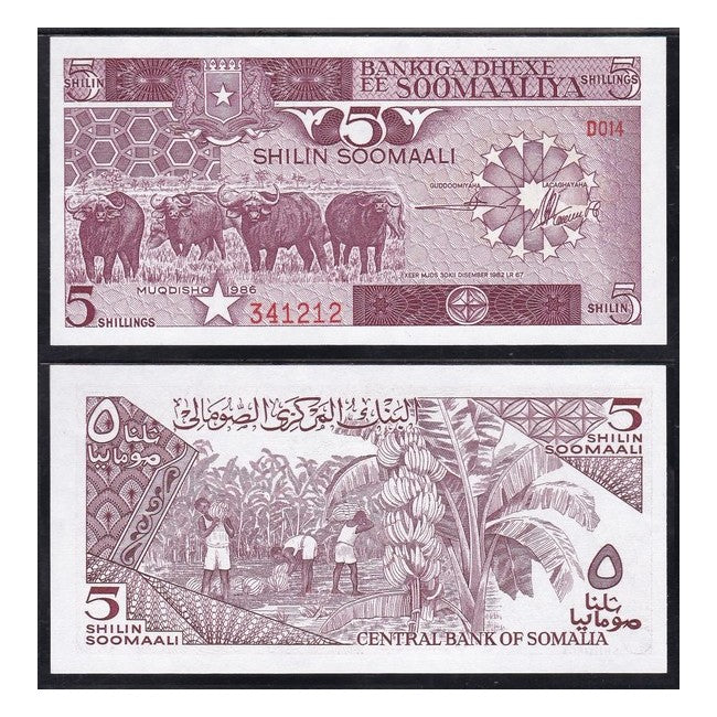 Somalia 5 Shilin - 5 Shillings 1986